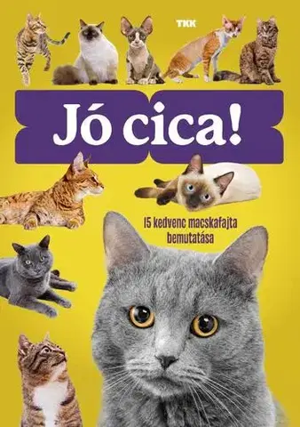 Mačky Jó cica!