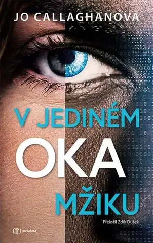 Detektívky, trilery, horory V jediném okamžiku - Jo Callaghan