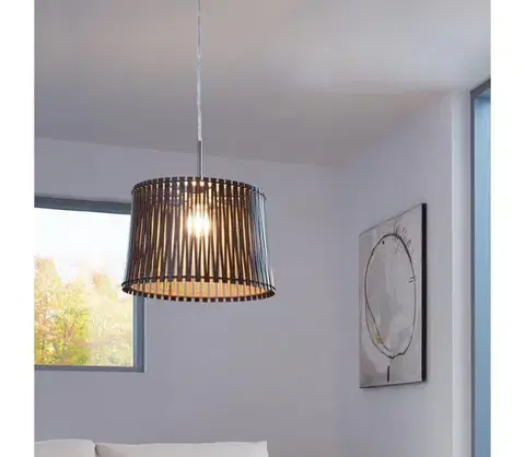 Svietidlá Eglo 96199 - Luster SENDERO 1xE27/60W/230V 96199