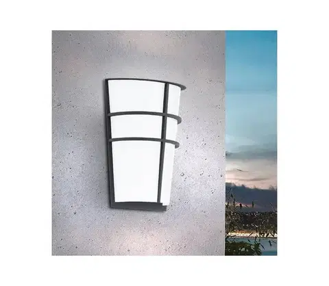 Záhradné lampy Eglo 94138 - LED Vonkajšie nástenné svietidlo BREGANZO 2xLED/2,5W/230V IP44 94138