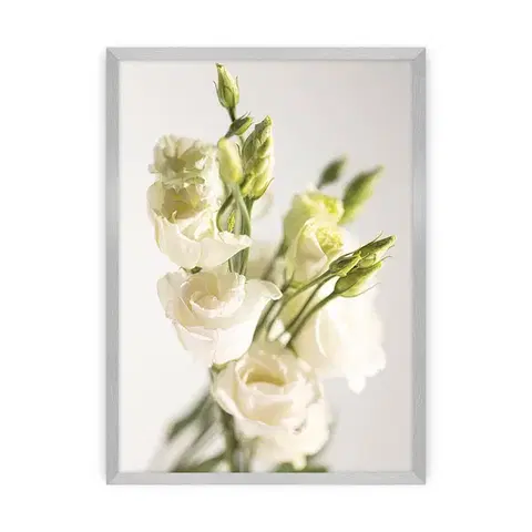 Obrazy Plagát Elegant Flowers