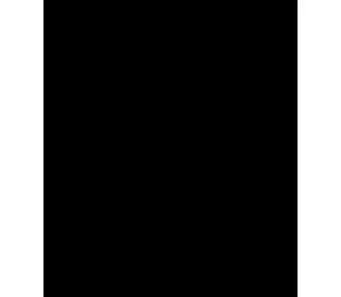 Kuchynské potreby WENKO 53881100 - Zástena BLACK 60x70 cm čierna 53881100