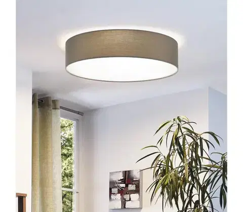 Svietidlá Eglo 97612 - Stropné svietidlo PASTERI 3xE27/60W/230V 57 cm 97612