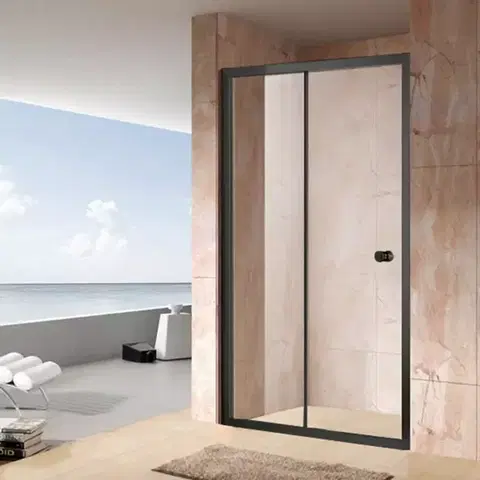 Sprchovacie dvere; priečky Sprchové dvere Vega 100x195 čierna