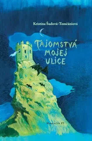 Slovenská beletria Tajomstvá mojej ulice - Kristína Šudová-Tomčániová