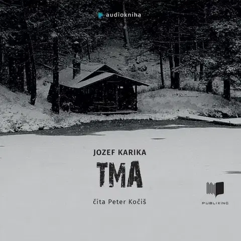 Detektívky, trilery, horory Publixing Ltd Tma - audiokniha