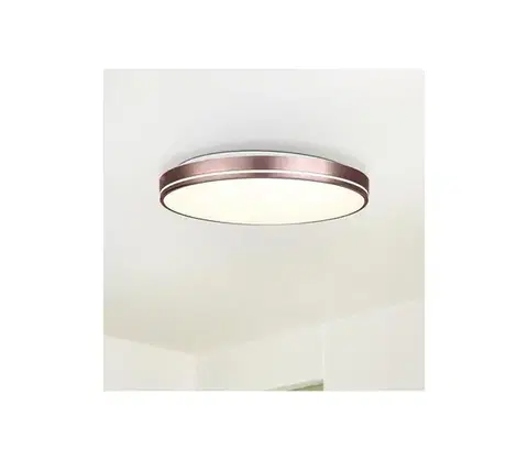 Svietidlá Eglo 75707 - LED Stmievateľné stropné svietidlo LED/22W/230V 3000-6500K + DO 75707