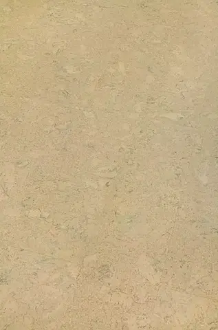 Wise cork inspire AMORIM WICANDERS Wise cork inspire Shell marfim 80003484
