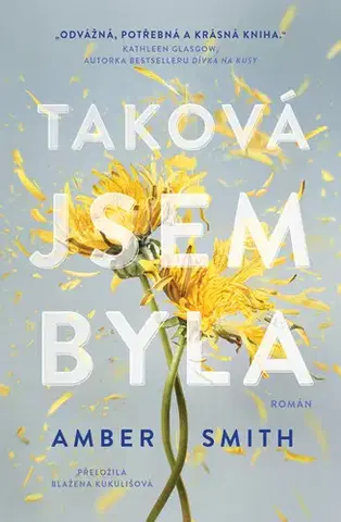 Young adults Taková jsem byla - Amber Smith