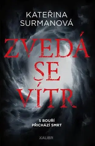 Detektívky, trilery, horory Zvedá se vítr - Kateřina Surmanová