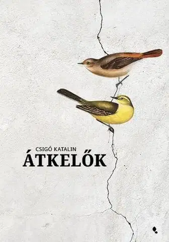 Svetová beletria Átkelők - Katalin Csigó