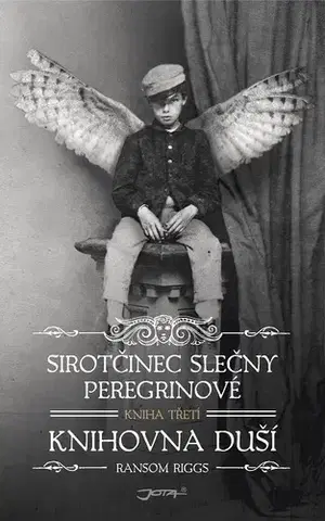 Sci-fi a fantasy Sirotčinec slečny Peregrinové 3: Knihovna duší - Ransom Riggs