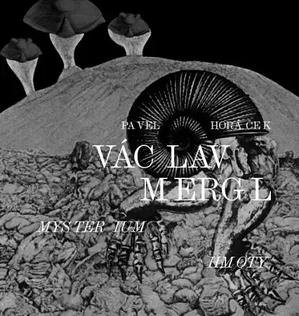 Architektúra Václav Mergl – Mysterium hmoty - Pavel Horáček