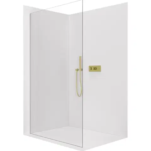 Sprchové dvere CERANO - Sprchová zástena Walk-in Crystal Ľ/P - 8 mm - bezvzperový systém - zlatá, transparentné sklo - 110x200 CER-8050BD6646