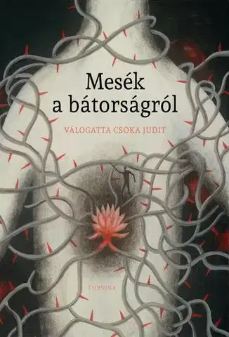 Svetová beletria Mesék a bátorságról - Judit Csóka