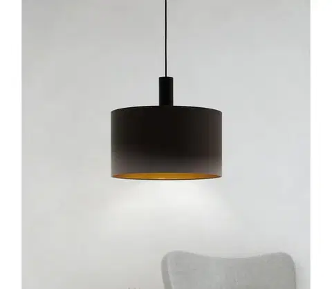Svietidlá Eglo 97682 - Luster na lanku CONCESSA 1 1xE27/60W/230V 380 mm 97682
