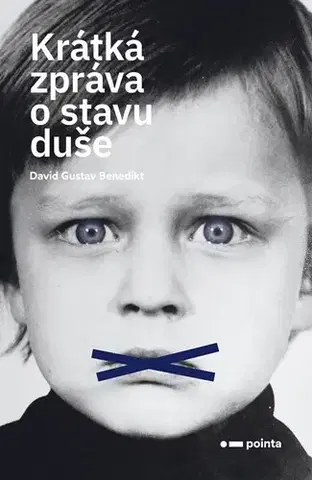 Romantická beletria Krátká zpráva o stavu duše - David Gustav Benedikt