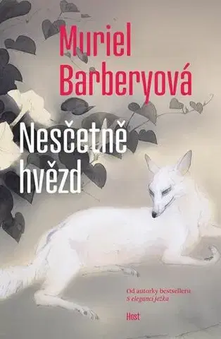 Romantická beletria Nesčetně hvězd - Muriel Barbery