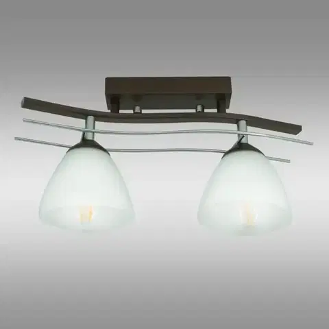 Lampy do obývačky Lampa Agat Plus 2337 LW2