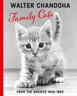 Fotografia Walter Chandoha: Family Cats From the Archive 1949-1962 - Walter Chandoha