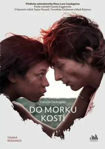 Young adults Do morku kostí - Camille DeAngelis