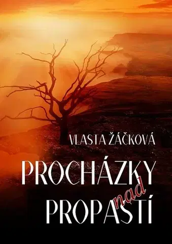 Detektívky, trilery, horory Procházky nad propastí - Vlasta Žáčková