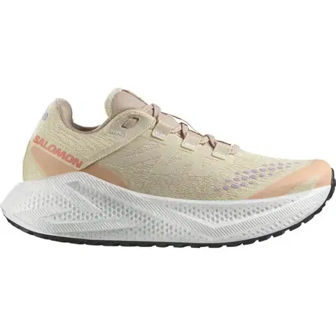 Cesta Salomon Aero Glide 3 GRVL W Veľkosť: 38 EUR