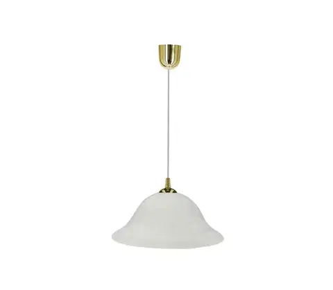 Svietidlá  Luster na lanku VERA 1xE27/60W/230V zlatá/biela 31-24565