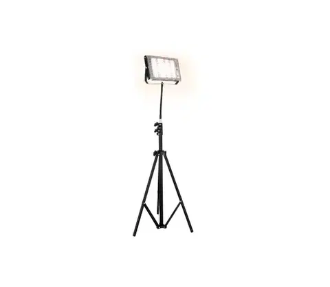 LED osvetlenie  LED reflektor s stojanom na pestovanie rastlín FIRON LED/45W/230V IP54 čierny 004016