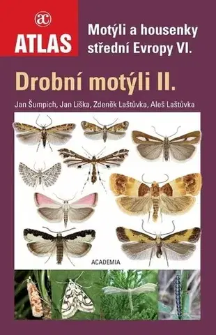 Biológia, fauna a flóra Motýli a housenky střední Evropy VI. - Drobní motýli II. - Kolektív autorov