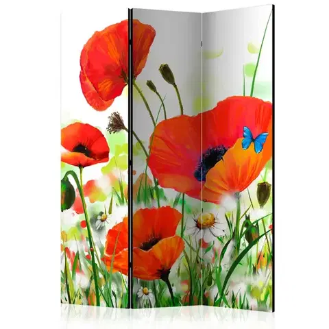 Paravány Paraván Country poppies Dekorhome